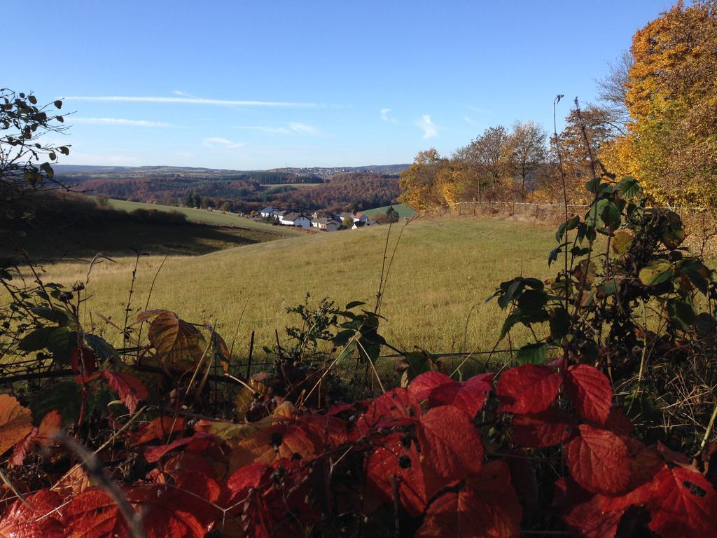 Fewo Vulkaneifel Tettscheid Esterno foto